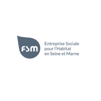 FSM logo 3